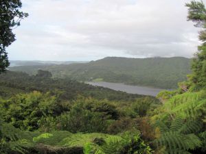 Image of img_7551.jpg