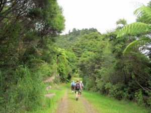 Image of img_7585.jpg