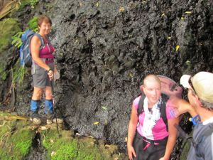 Image of img_7587.jpg