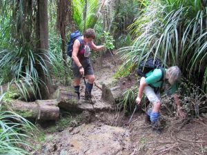 Image of img_7592.jpg