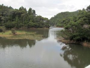 Image of img_7610.jpg