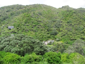 Image of img_7637.jpg