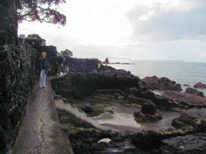 Image of img_8225.jpg