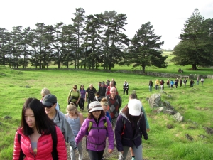 Image of img_8357.jpg