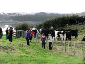 Image of img_8386.jpg