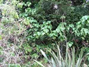 Image of img_8417.jpg