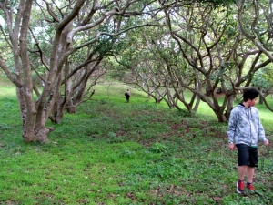 Image of img_8463.jpg