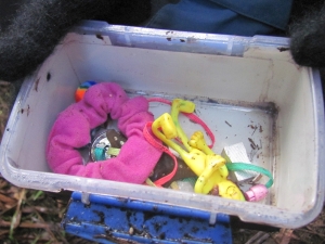 Image of img_8623.jpg