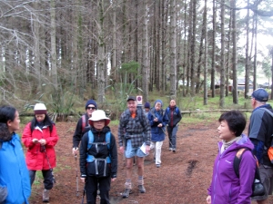 Image of img_8637.jpg