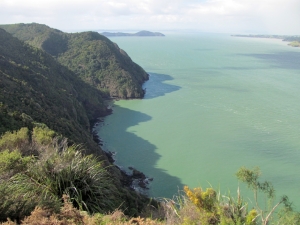 Image of img_8647.jpg