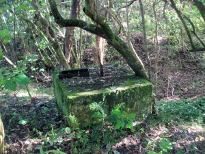 Image of img_8662.jpg