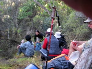 Image of img_8668.jpg