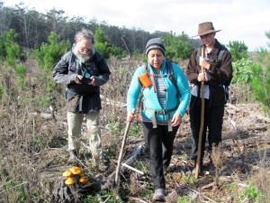 Image of img_8703.jpg