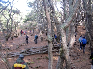 Image of img_8708.jpg