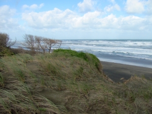 Image of img_8719.jpg