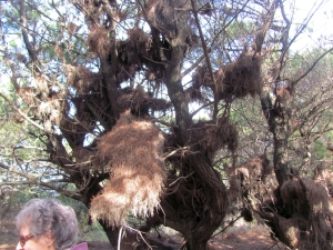 Image of img_8750.jpg