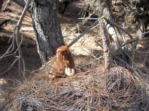 Image of img_8755.jpg