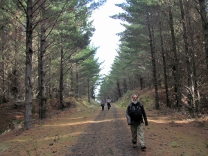 Image of img_8764.jpg