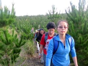 Image of img_8777.jpg