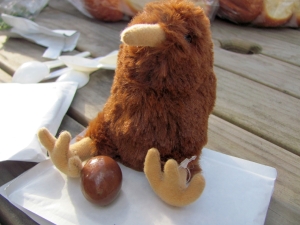 Image of img_8782.jpg