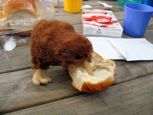 Image of img_8786.jpg