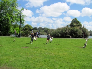 Image of img_9116.jpg