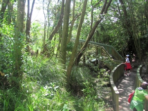 Image of img_9141.jpg