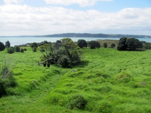 Image of img_9169.jpg