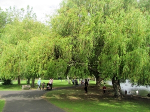 Image of img_9197.jpg