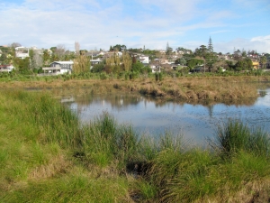 Image of img_9550.jpg