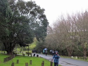 Image of img_9587.jpg