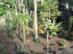 Image of img_9747.jpg