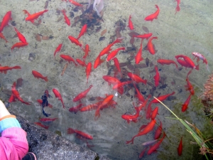 Image of img_9760.jpg