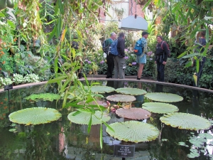 Image of img_9762.jpg