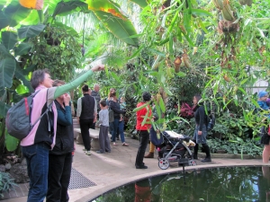 Image of img_9767.jpg