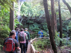 Image of img_9778.jpg