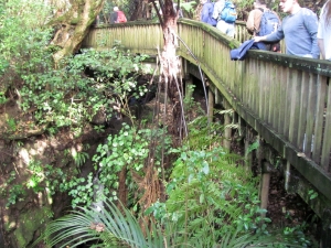 Image of img_9794.jpg