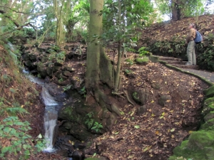 Image of img_9800.jpg