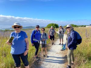 Image of kaikouracoastaltrail23a.jpg