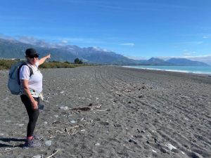 Image of kaikouracoastaltrail23b.jpg