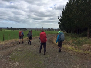 Image of kaimaiaug16b.jpg