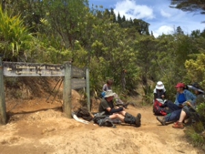 Image of kaimaibee15carlh.jpg