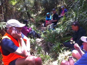 Image of kaimaibee15mich4.jpg