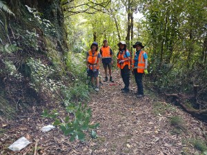 Image of kaimaibeemar26b.jpg