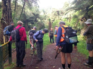 Image of kaimaibeeoct16j.jpg