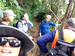 Image of kaimaibeeoct16w.jpg