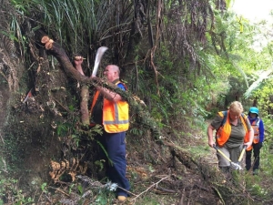 Image of kaimaibeeoct19b.jpg