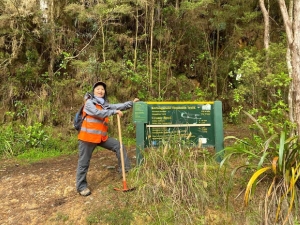 Image of kaimaibeeoct19c.jpg