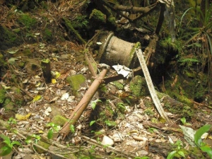 Image of kaimaifeb144.jpg