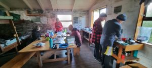 Image of kaimaisaug22a.jpg